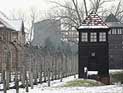 После матча со сборной Израиля немецкие футболисты посетят Освенцим