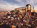 Студент йешивы перерыл 8 тонн мусора, чтобы найти выброшенный пакет с деньгами