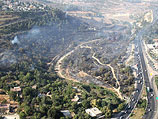 Лесной пожар около Иерусалима. 26 июня 2012 года