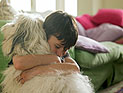 Ученые: присутствие в доме собаки укрепляет здоровье ребенка