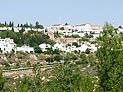 В Израиле появится восьмой университет - в Ариэле