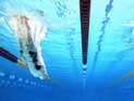 Плавание: в эстафете победили австралийки. Южноафриканец установил рекорд 