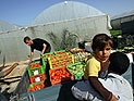 Палестинские инспекторы конфисковали 150 кг поселенческой продукции