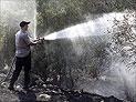 Второй раз за сутки горит лес под Иерусалимом: полиция ищет "серийного поджигателя"