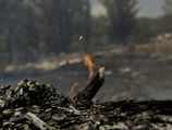 Пожар в лесу возле Бен-Шемена тушат 15 пожарных расчетов