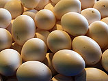 Прогноз минсельхоза: цены на молоко, яйца и птицу вырастут до 17%