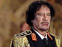 Сын Каддафи погиб через год после отца