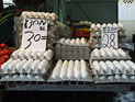 Израильские владельцы птицеферм объявляют забастовку и прекращают поставку яиц