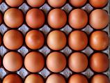 Владельцы птицеферм начинают забастовку: в воскресенье не будет поставок яиц
