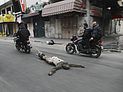 ХАМАС расстрелял шестерых 