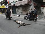 Тело убитого "коллаборациониста" тащат по улицам Газы. 20.11.2012