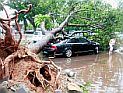 6 филиппинцев стали жертвами тропического шторма