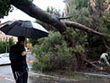 Хроника шторма: отключения электричества, затопленные дома и дороги, рухнувшие деревья