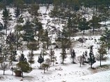 На севере Голанских высот пошел снег: занятия в школах района отменены