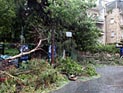 В Ришон ле-Ционе в результате урагана пострадали три человека
