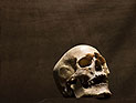 В окрестностях Нетании обнаружен человеческий череп