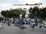 Площадь Дизенгоф в Тель-Авиве  