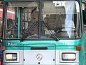 Минтранс: в Пурим будут ходить "ночные автобусы"