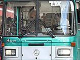 Минтранс: в Пурим будут ходить "ночные автобусы"