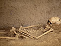 Мародеры нашли во дворце свергнутого президента ЦАР тайник со скелетами