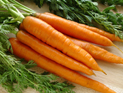 Морковь помогает победить рак простаты