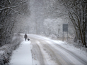 Венгрия: израильские туристы провели более 16 часов в снежном плену
