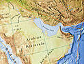 В учениях в Персидском заливе примут участие военные из 41 страны