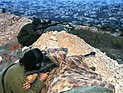 Беспорядки в Самарии: огнем снайперов ЦАХАЛа ранены 5 палестинцев
