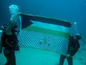 Активисты ФАТХа устроили подводную фотосессию в Эйлате