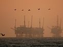 Под месторождением "Левиатан" могут находиться до 1,5 млрд баррелей нефти