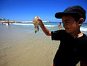 "Сезон медуз" около побережья Израиля закончился