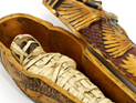 10-летний немецкий мальчик нашел на чердаке у бабушки саркофаг и мумию