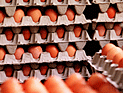 Предотвращена попытка продажи десятков тысяч тухлых яиц с поддельным сроком годности