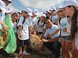 "Генеральная уборка" в Израиле: добровольцы собрали в лесах и парках 2.650 тонн мусора 