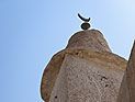 Призыв к свержению ас-Сиси вызвал драку в мечети Эр-Рияда