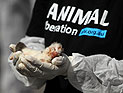 Animal Liberation: правозащитники показали австралийцам трупы животных