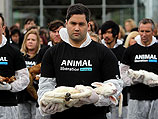 Animal Liberation: правозащитники показали австралийцам трупы животных