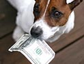 Минфин вернул хозяину собаки $500, которые съел его четвероногий друг