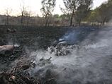 Недалеко от парка "Мини-Израиль" вспыхнул лесной пожар