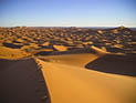 В пустыне Сахара обнаружены 87 трупов нелегальных эмигрантов, погибших от жажды
