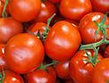 Минсельхоз Ливана отрицает, что в стране продаются "канцерогенные" помидоры из Израиля