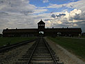 Нацистский салют в Освенциме: задержаны два студента-историка из Турции