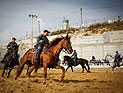 Полиция Иерусалима получила новую конюшню. Фоторепортаж
