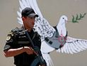 Палестинские власти арестовали несколько десятков активистов 