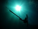 Австралийский любитель подводной охоты погиб в результате нападения акулы