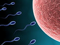 Ученые разработали метод трехмерной съемки сперматозоидов