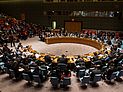 Украина теряет надежду на действия Совета безопасности ООН