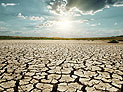 ООН: засуха на Ближнем Востоке приведет к росту цен на продукты питания