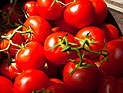 Цены на помидоры перед Песахом превысят 10 шекелей за кг