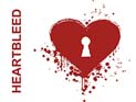 Ошибка Heartbleed: более двух лет хакеры могли похищать данные пользователей интернета